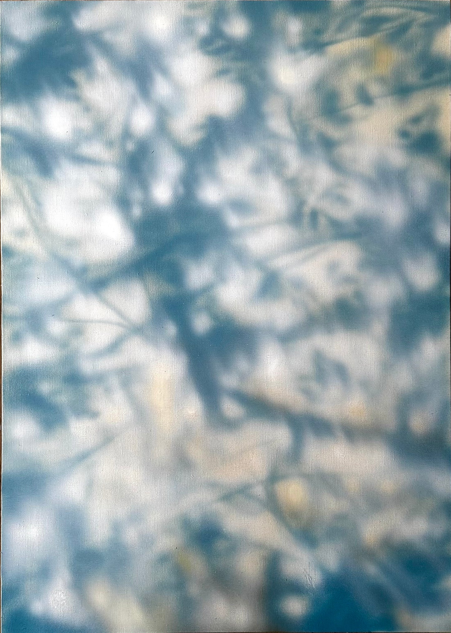 POPURA (50x70cm)