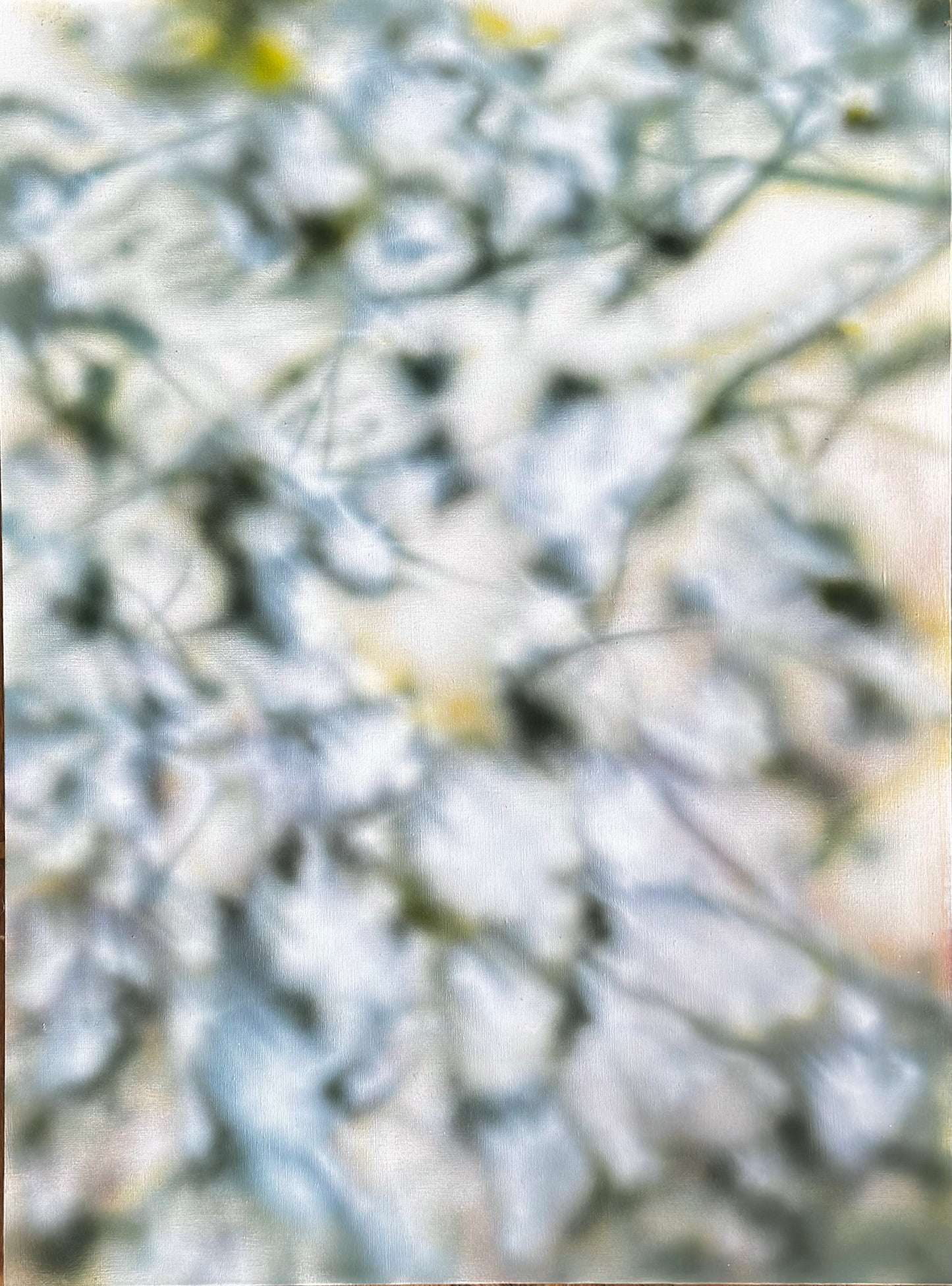 HANOKI (60x80cm)