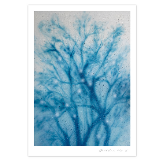 MOMI limited Giclée print (50x70cm)