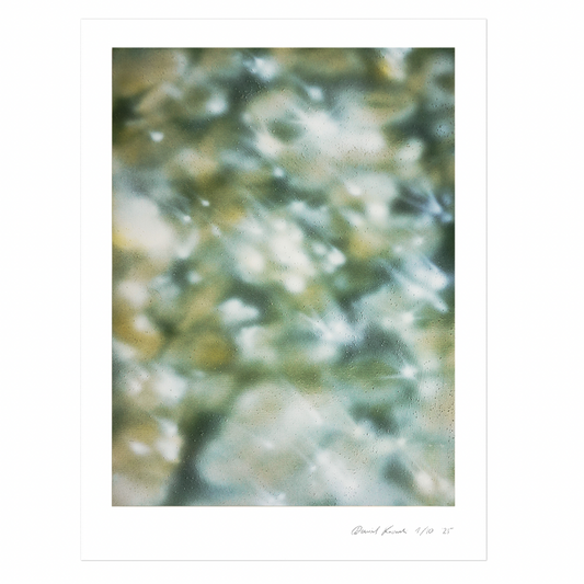 POPURA limited Giclée print (30x40cm)