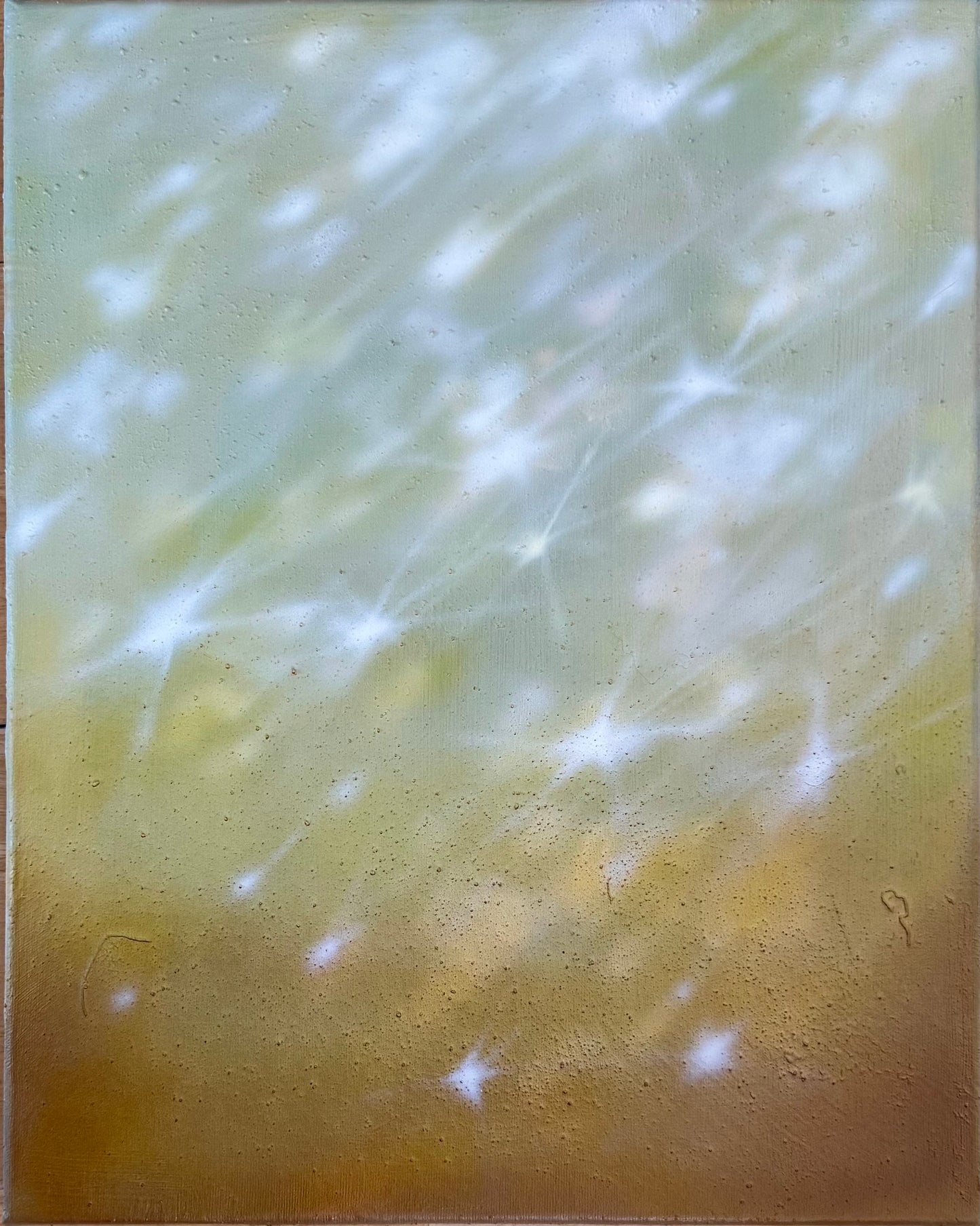 MOMI モミ (40x50cm)