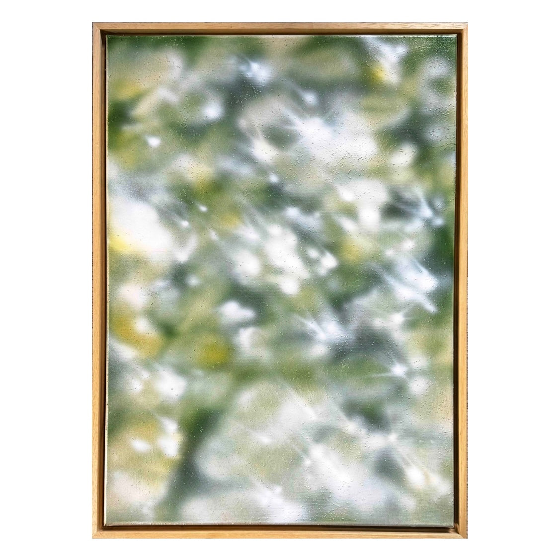 POPURA (50x70cm)