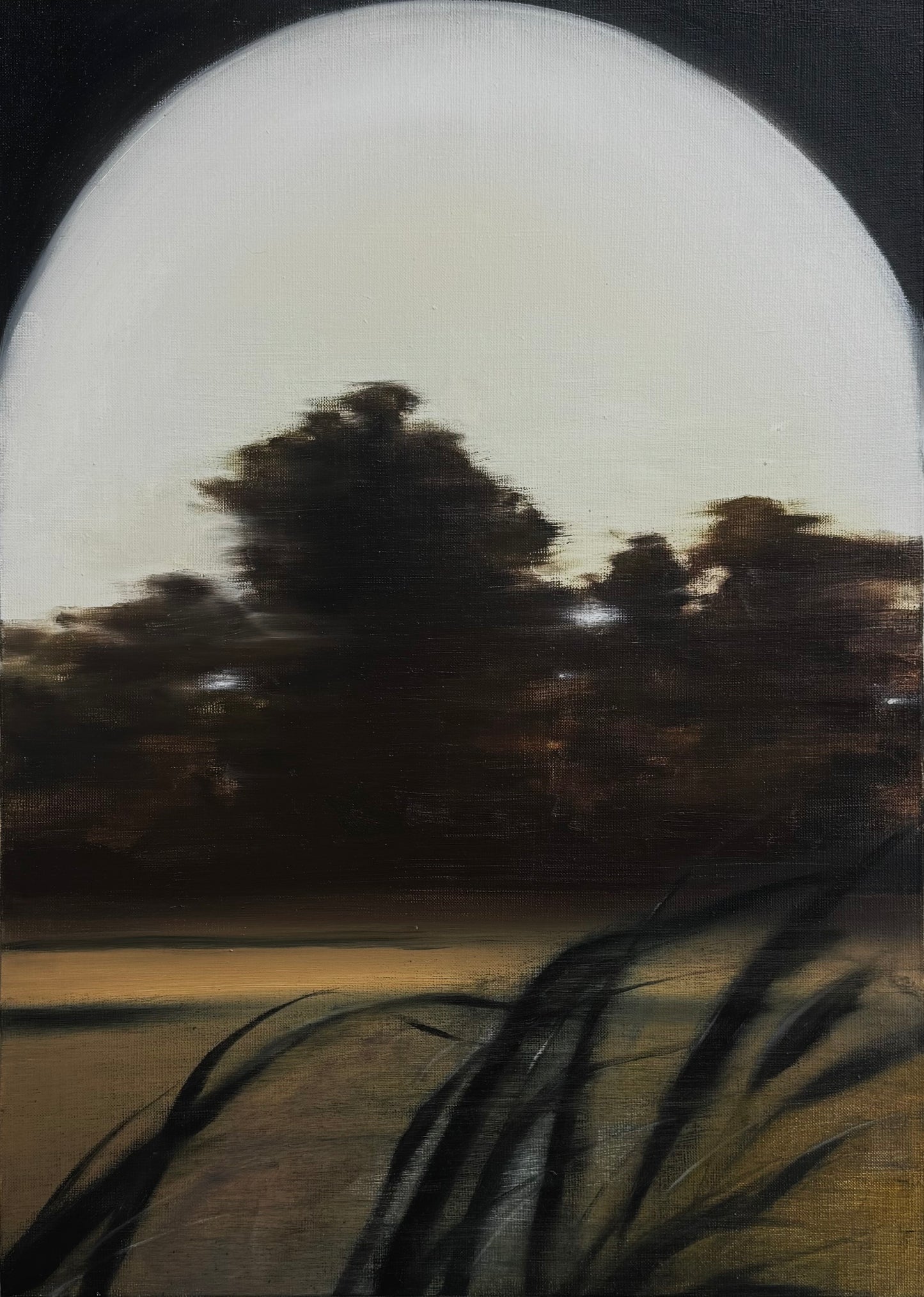OMOIDE (50x70cm)
