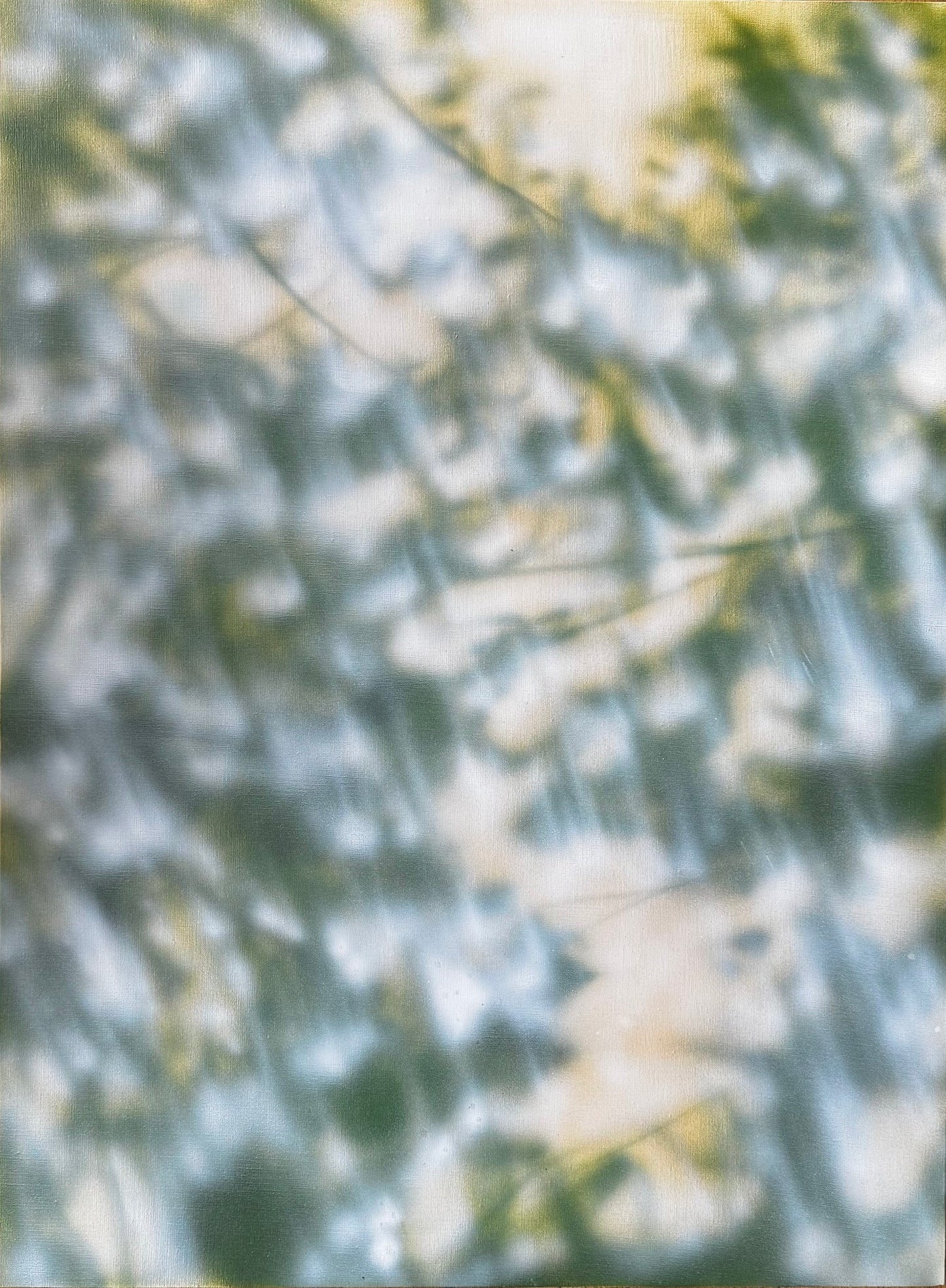 KAGE (60x80cm)