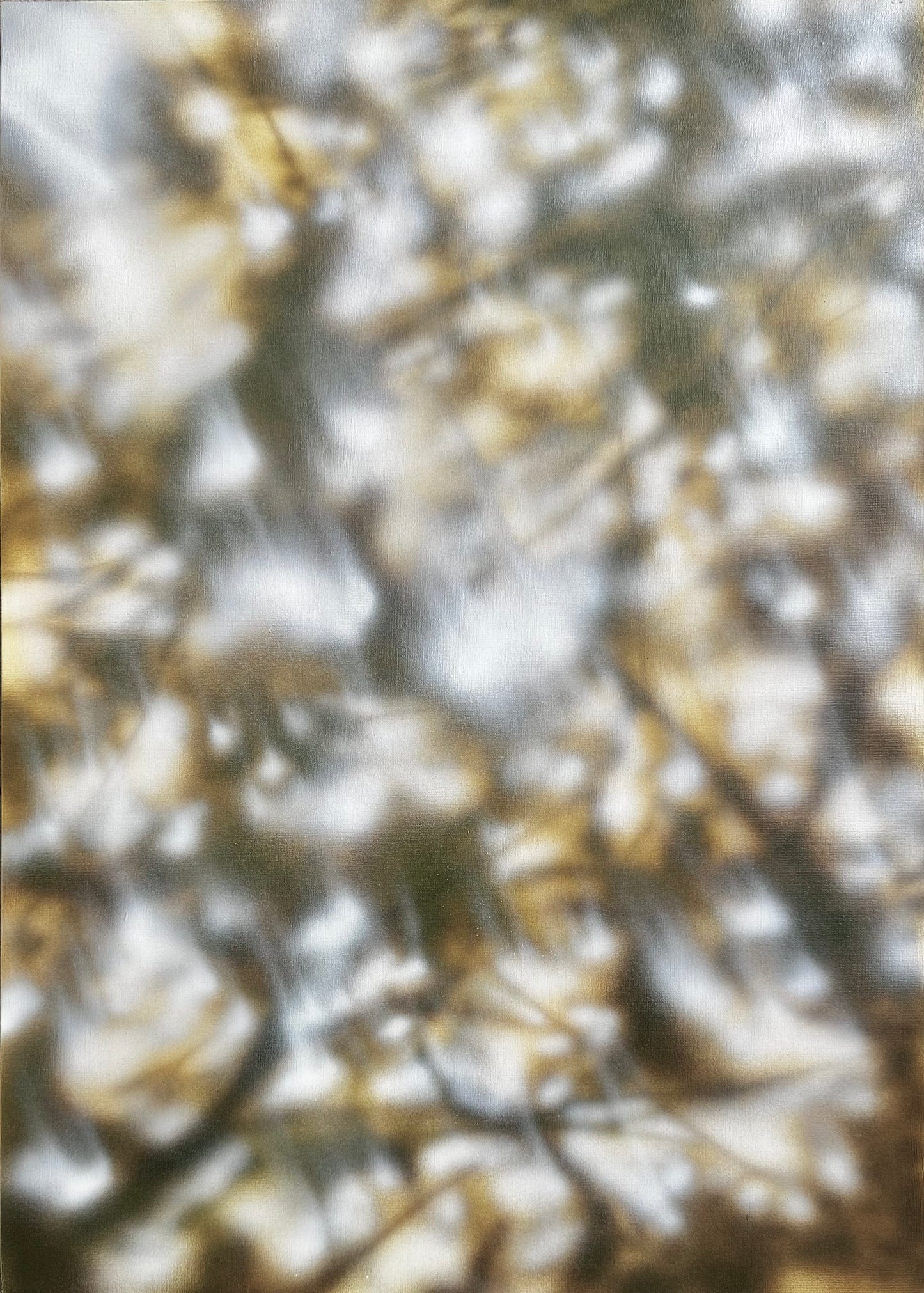 POPURA (50x70cm)