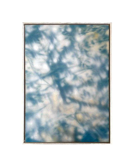 POPURA (50x70cm)