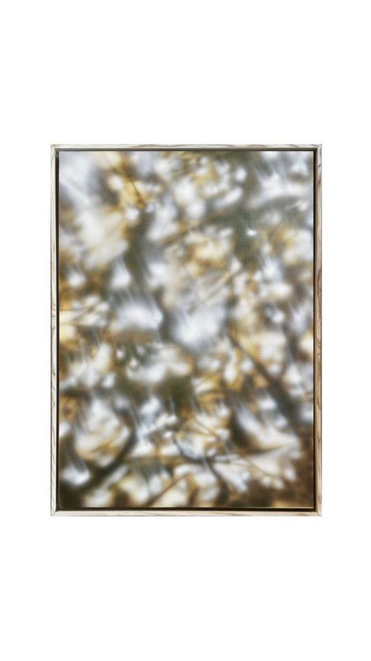 POPURA (50x70cm)