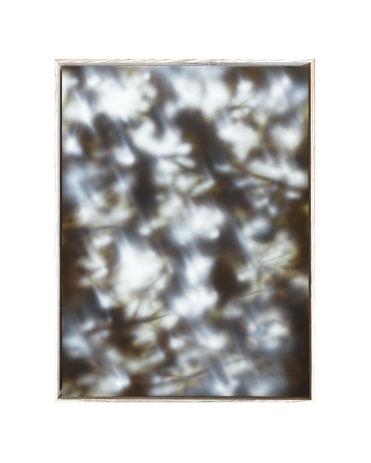 Remon (46x61cm)